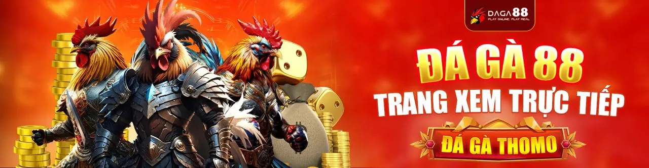 Sân đấu đá gà trực tuyến kịch tính tại ku11